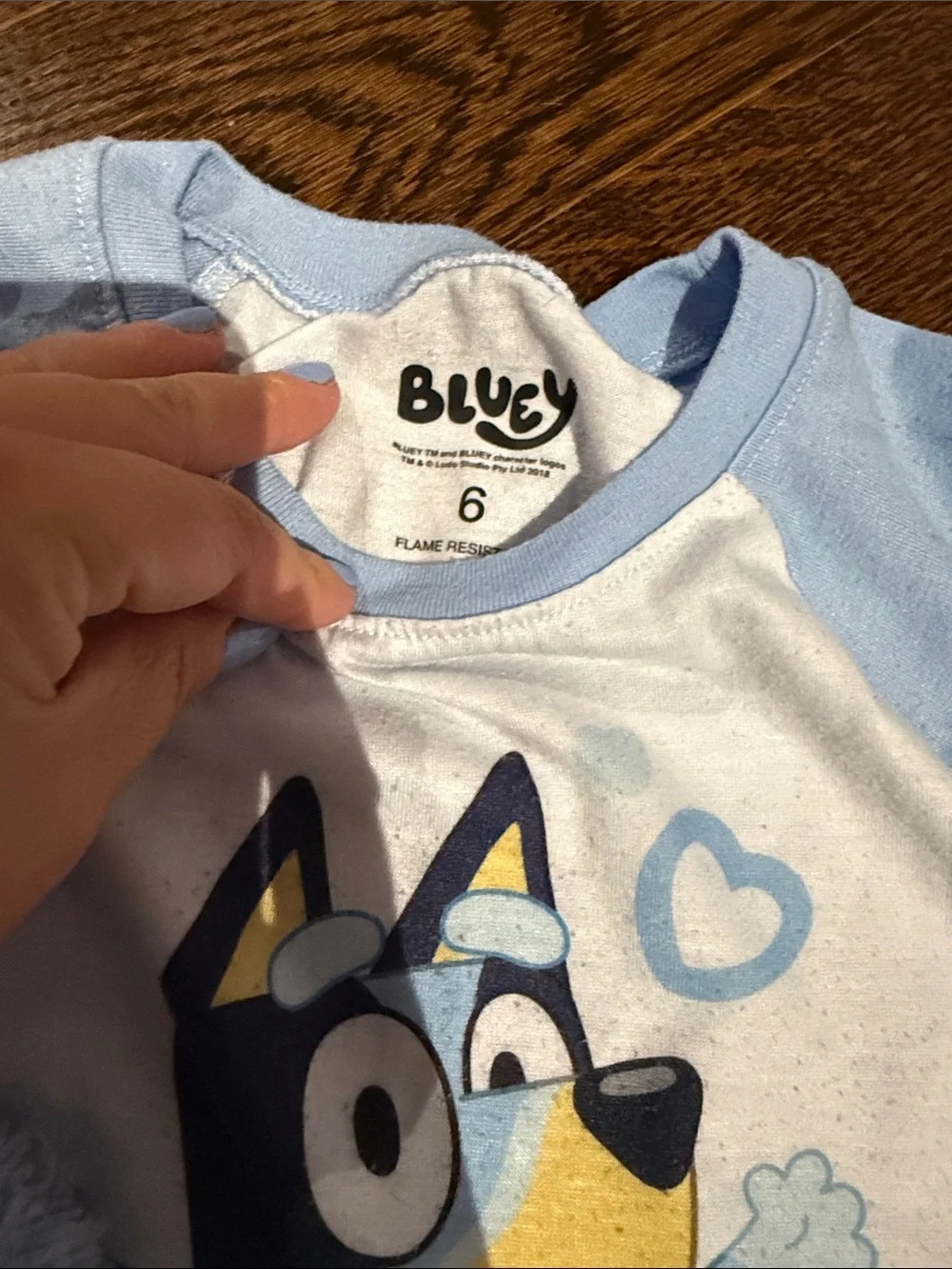 Bluey hi welcome
